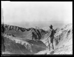 Shackelford, James B., “Roy Chapman Andrews in the badlands of Urtyn Obo, Mongolia, 1928,” AMNH Digital Special Collections, accessed January 24, 2015, http://images.library.amnh.org/digital/items/show/26127.